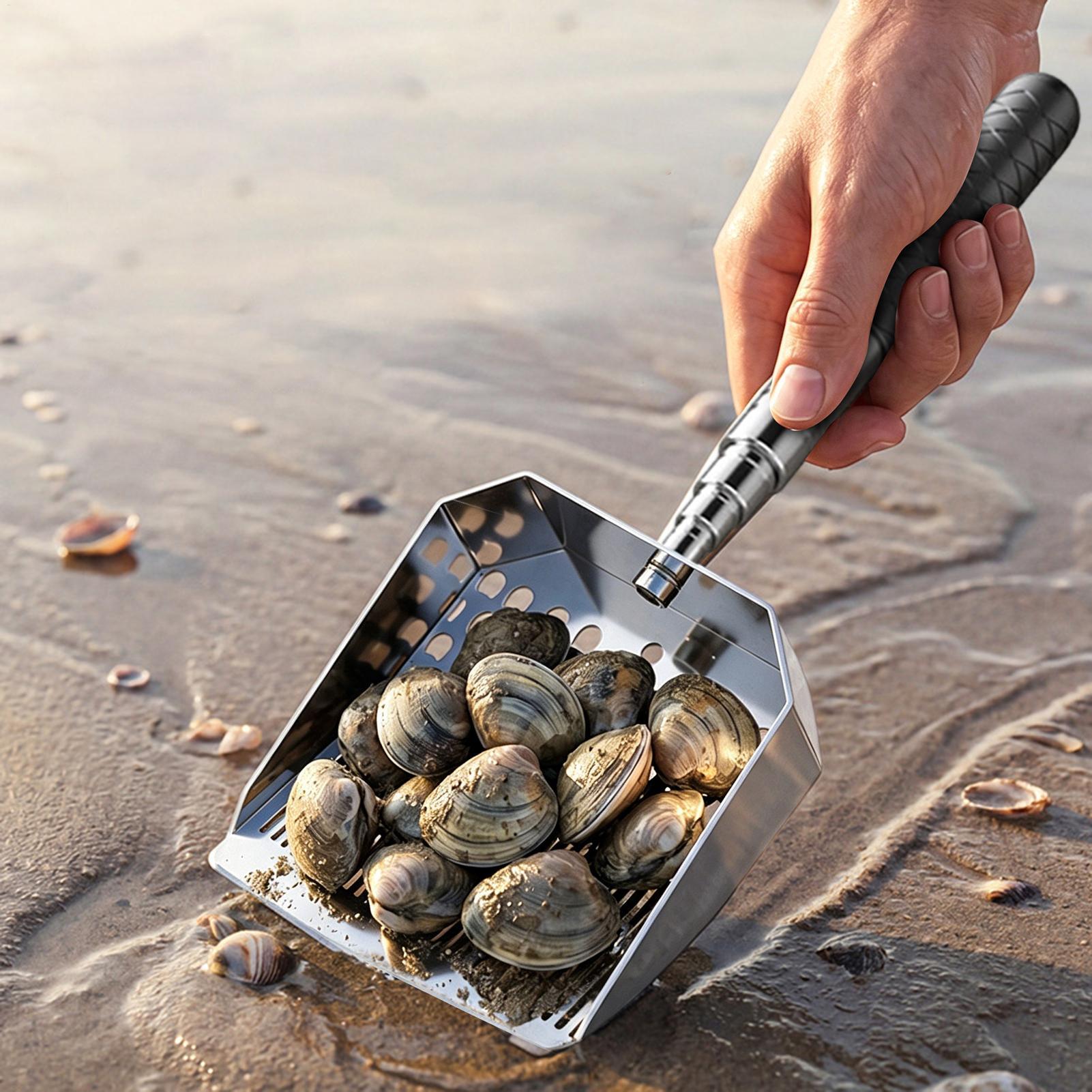 Sand Scoop Stainless Steel San - Sand Scoop Stainless Steel Beach Digging ulasan dan harga