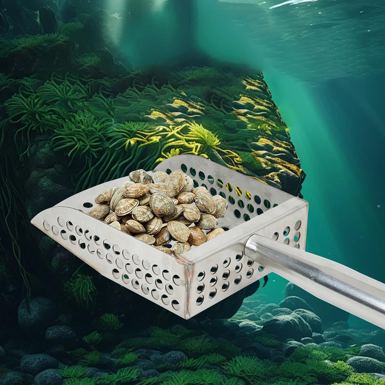Sand Scoop Handheld Comfortabl - Sand Scoop Stainless Steel Beach Digging ulasan dan harga